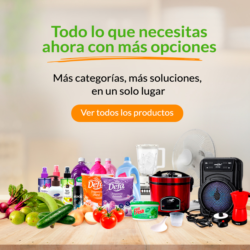 Todo lo que necesitas