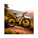 Bicicletas Roja (27½)