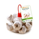 Ajo Fresco - LiuMonte (320-410g)
