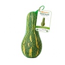 Calabaza Fresca - LiuMonte (2.00-2.50lb)