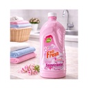 Suavizante Caricia Extendida (1000cc)