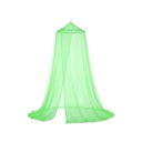 Mosquitero Verde