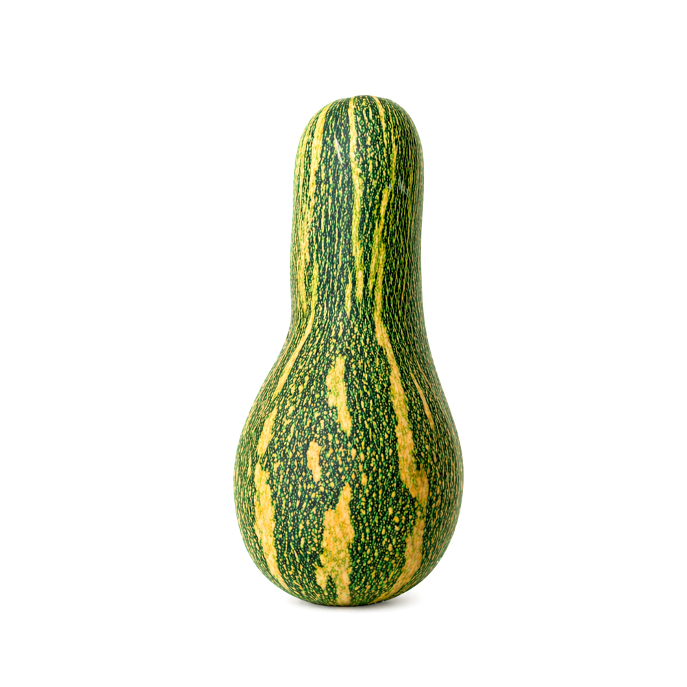 Calabaza Fresca - LiuMonte (4.50-5.0lb)